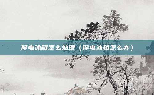 停电冰箱怎么处理(停电冰箱怎么办)