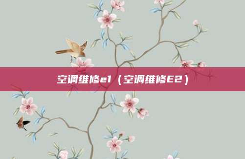 空调维修e1(空调维修E2)
