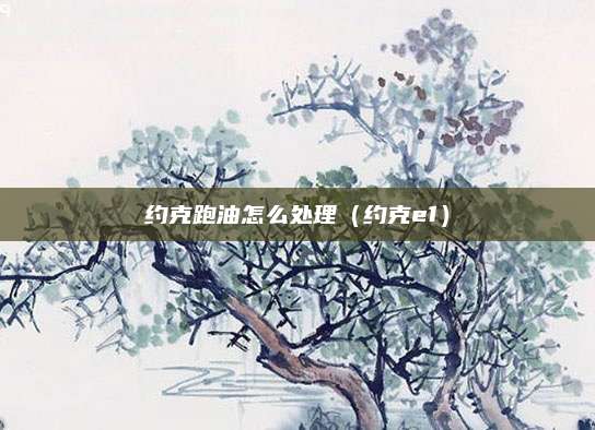 约克跑油怎么处理(约克e1)