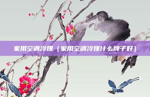 家用空调冷媒(家用空调冷媒什么牌子好)