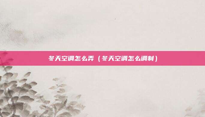 冬天空调怎么弄(冬天空调怎么调制)