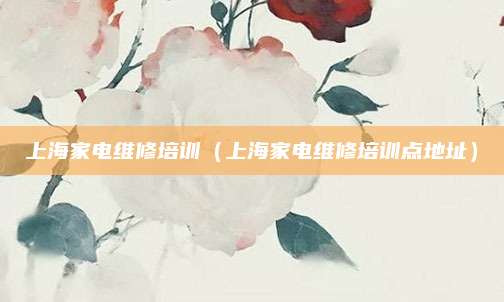 上海家电维修培训(上海家电维修培训点地址)