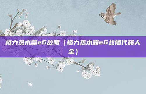 格力热水器e6故障(格力热水器e6故障代码大全)