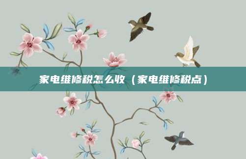 家电维修税怎么收(家电维修税点)