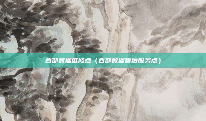 西部数据维修点(西部数据售后服务点)