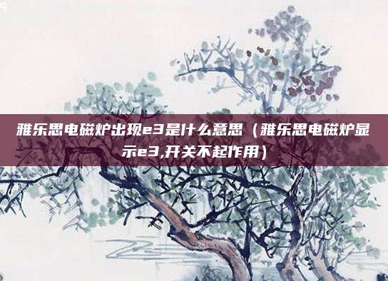 雅乐思电磁炉出现e3是什么意思（雅乐思电磁炉显示e3,开关不起作用）