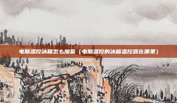 电脑温控冰箱怎么加氟(电脑温控的冰箱温控器在哪里)