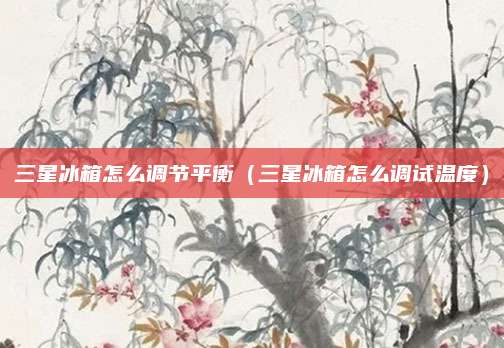 三星冰箱怎么调节平衡(三星冰箱怎么调试温度)