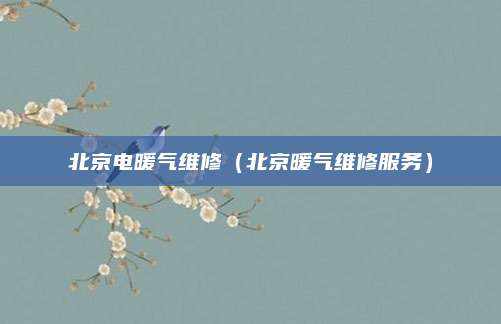北京电暖气维修(北京暖气维修服务)
