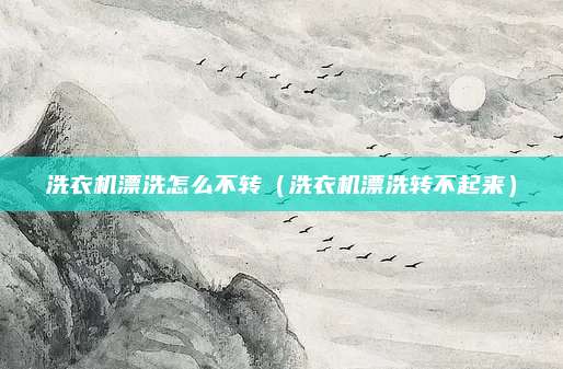 洗衣机漂洗怎么不转（洗衣机漂洗转不起来）