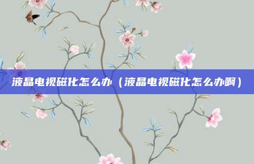 液晶电视磁化怎么办(液晶电视磁化怎么办啊)