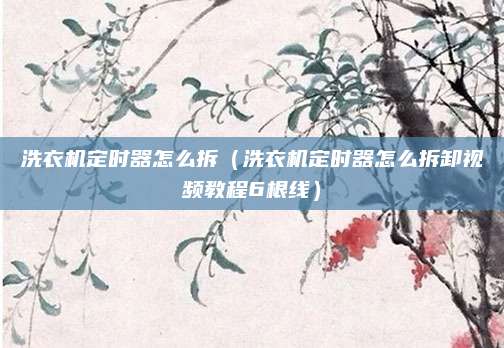 洗衣机定时器怎么拆(洗衣机定时器怎么拆卸视频教程6根线)