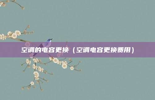 空调的电容更换(空调电容更换费用)