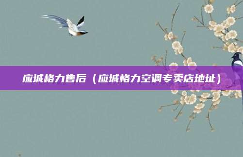 应城格力售后(应城格力空调专卖店地址)