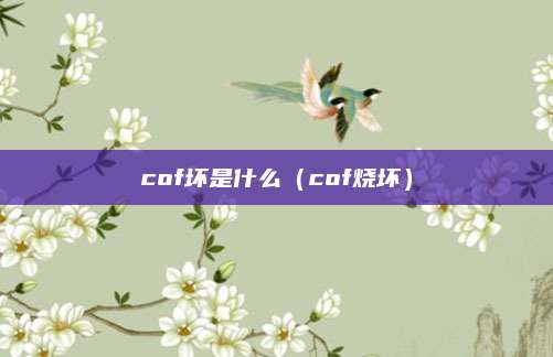 cof坏是什么(cof烧坏)