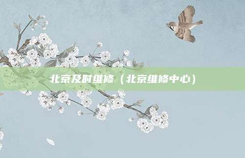 北京及时维修(北京维修中心)