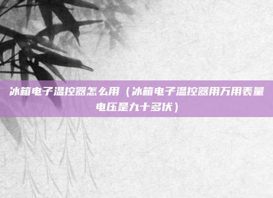 冰箱电子温控器怎么用（冰箱电子温控器用万用表量电压是九十多伏）