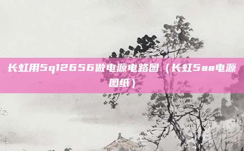 长虹用5q12656做电源电路图(长虹5aa电源图纸)
