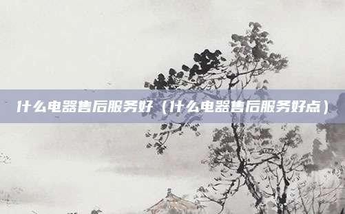 什么电器售后服务好(什么电器售后服务好点)
