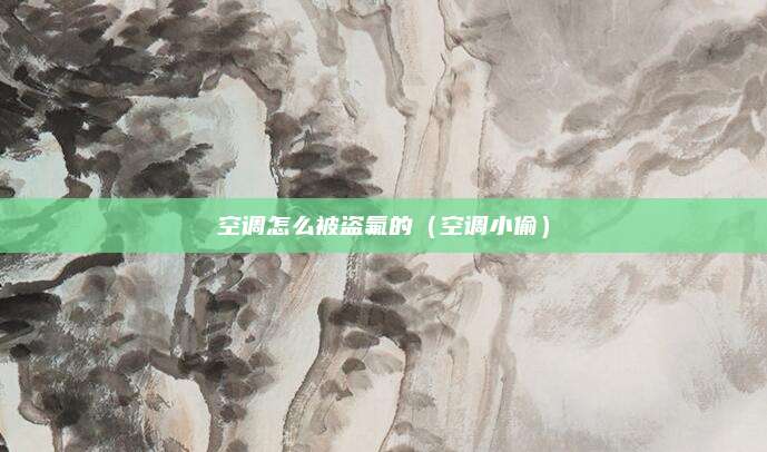 空调怎么被盗氟的（空调小偷）