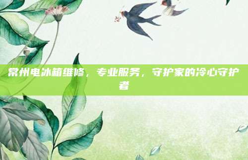 常州电冰箱维修,专业服务,守护家的冷心守护者