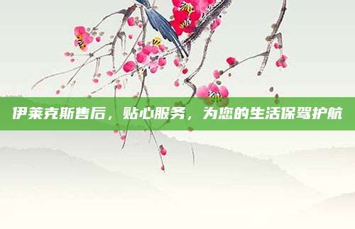 伊莱克斯售后,贴心服务,为您的生活保驾护航