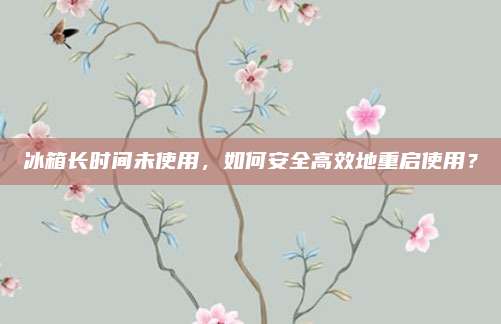 冰箱长时间未使用,如何安全高效地重启使用?