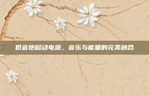 低音炮移动电源,音乐与能量的完美融合