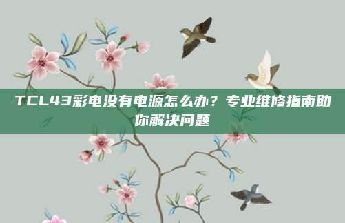 TCL43彩电没有电源怎么办？专业维修指南助你解决问题