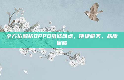 全方位解析OPPO维修网点，便捷服务，品质保障