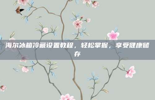 海尔冰箱冷藏设置教程，轻松掌握，享受健康储存