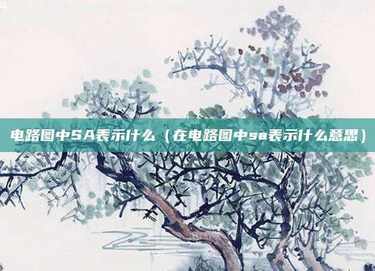 电路图中SA表示什么（在电路图中sa表示什么意思）