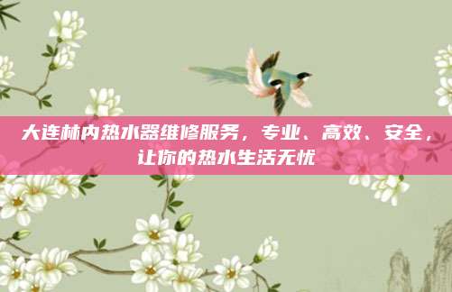 大连林内热水器维修服务,专业、高效、安全,让你的热水生活无忧