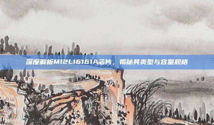 深度解析M12L16161A芯片，揭秘其类型与容量规格