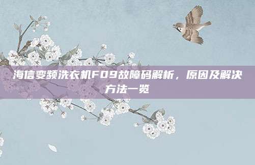 海信变频洗衣机F09故障码解析,原因及解决方法一览