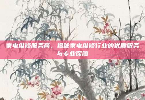 家电维修服务商，揭秘家电维修行业的优质服务与专业保障