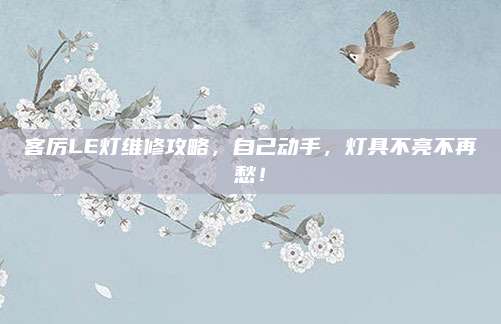 客厉LE灯维修攻略，自己动手，灯具不亮不再愁！