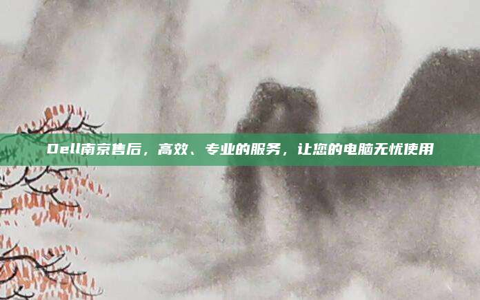 Dell南京售后，高效、专业的服务，让您的电脑无忧使用