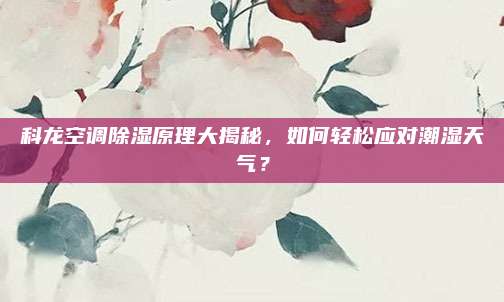 科龙空调除湿原理大揭秘,如何轻松应对潮湿天气?