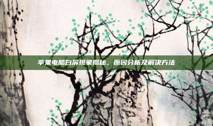 苹果电脑白屏现象揭秘,原因分析及解决方法