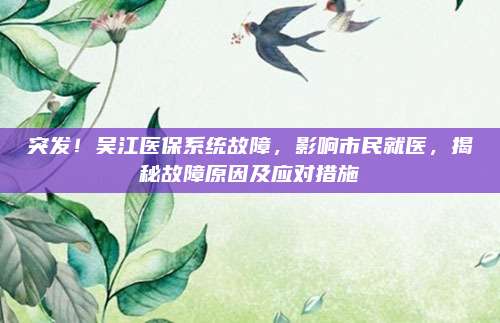 突发！吴江医保系统故障，影响市民就医，揭秘故障原因及应对措施