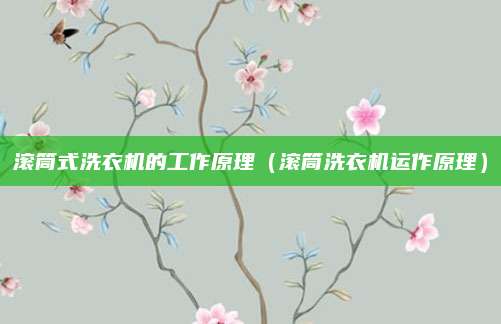 滚筒式洗衣机的工作原理（滚筒洗衣机运作原理）