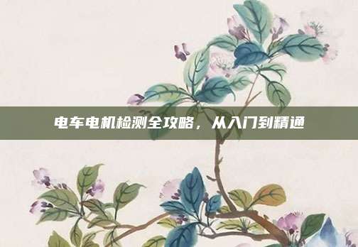 电车电机检测全攻略，从入门到精通
