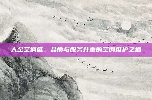 大金空调维，品质与服务并重的空调维护之道