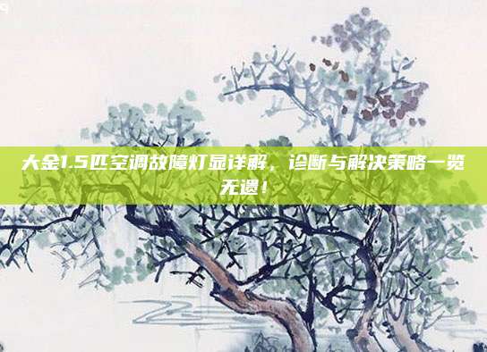 大金1.5匹空调故障灯显详解,诊断与解决策略一览无遗!