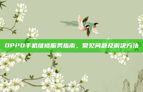 OPPO手机维修服务指南,常见问题及解决方法