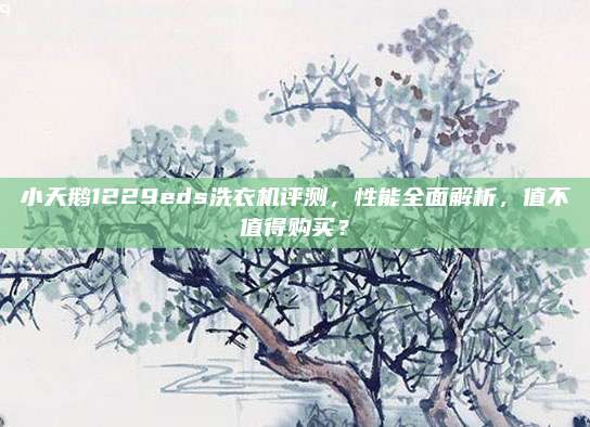 小天鹅1229eds洗衣机评测，性能全面解析，值不值得购买？