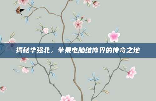 揭秘华强北，苹果电脑维修界的传奇之地