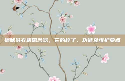 揭秘洗衣机离合器，它的样子、功能及维护要点