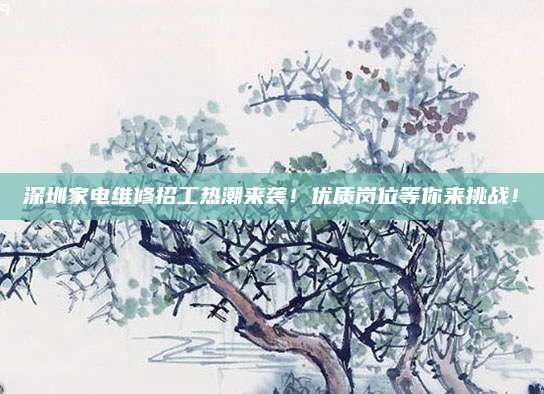 深圳家电维修招工热潮来袭!优质岗位等你来挑战!